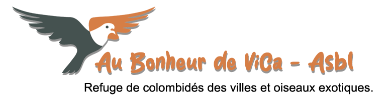 Au Bonheur de ViCa - Asbl